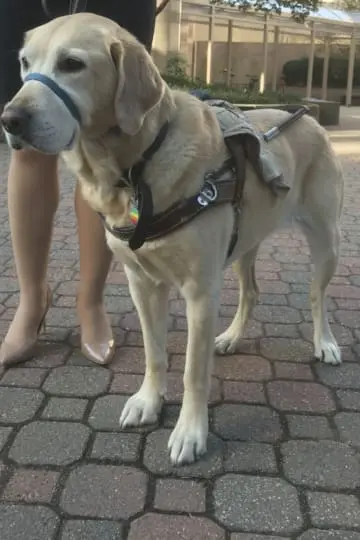 Nala Belle Flynt McEben