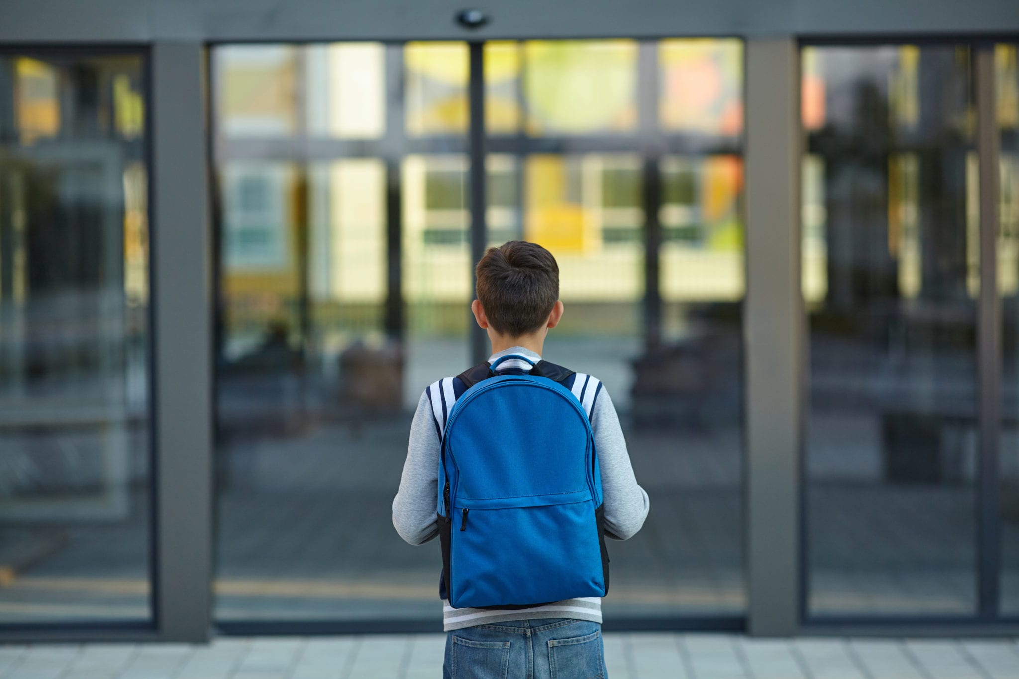 Schoolboy stands in front of the school door.