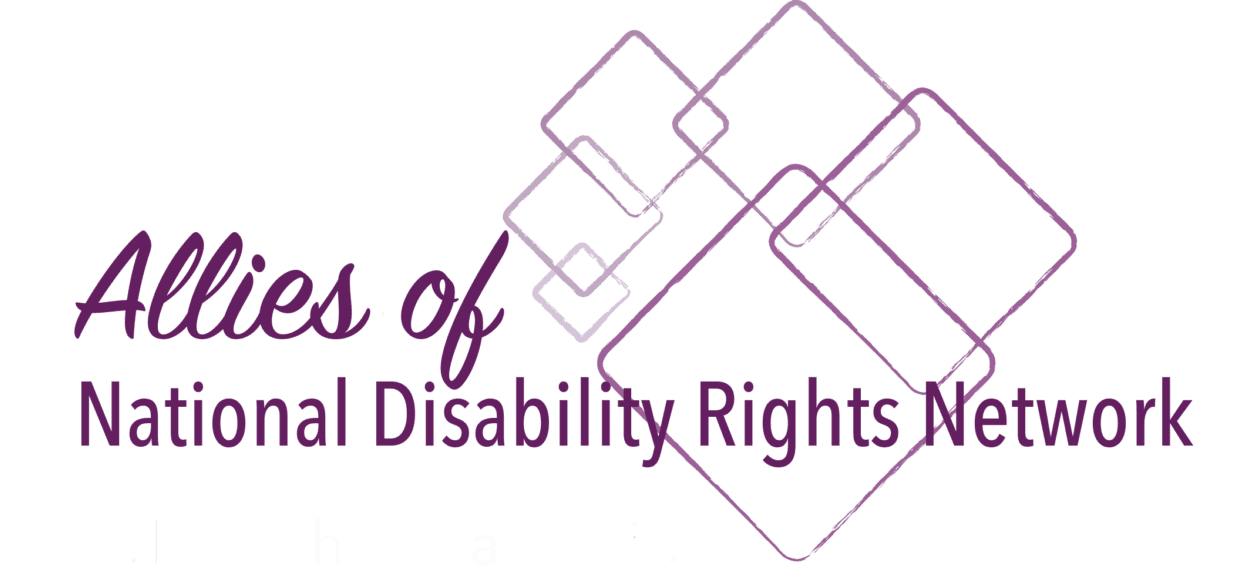 Allies of National Disability Rights Network