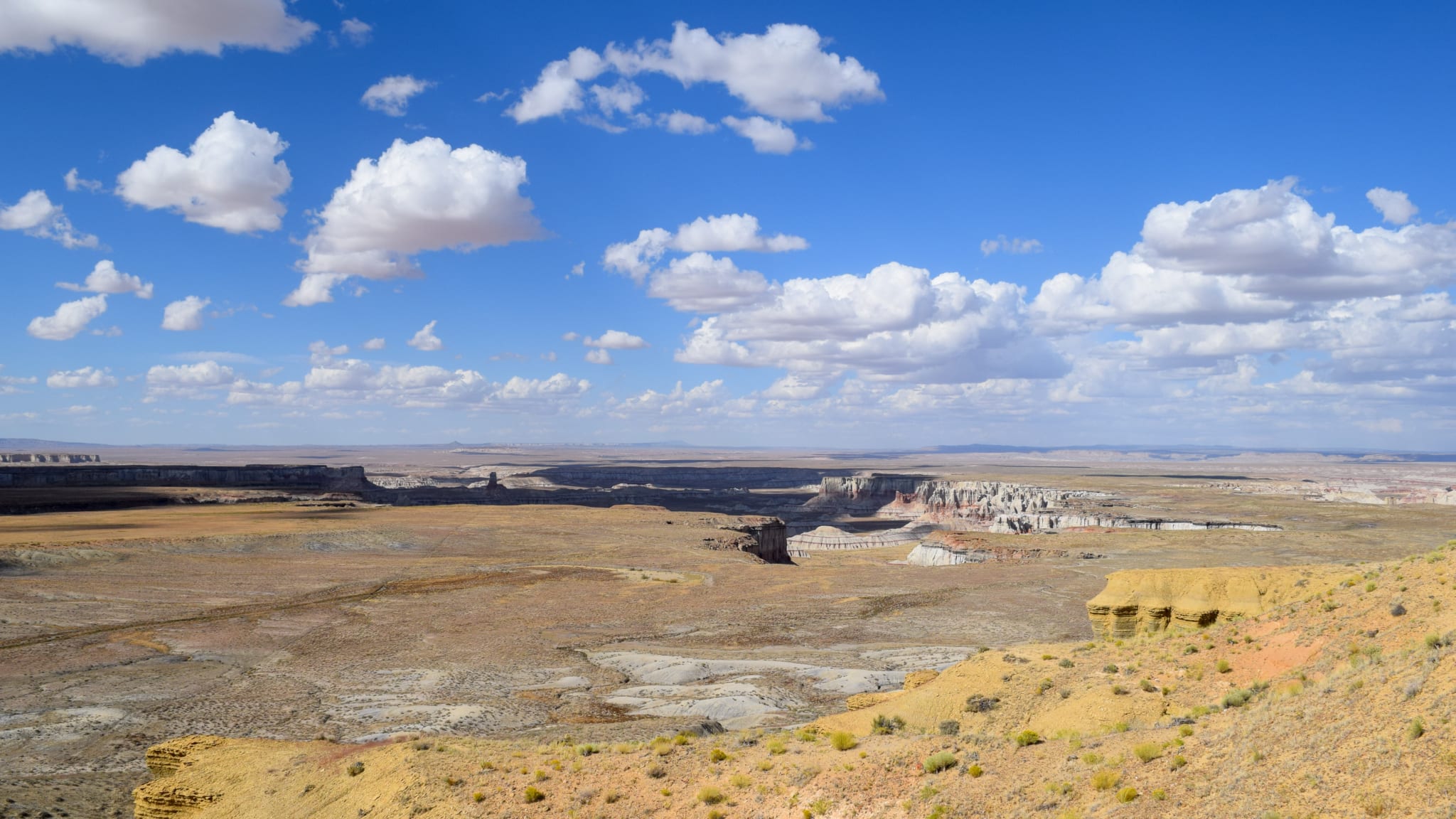 Landscape photo of Coal Mine Canyon in Coconino County, Arizona