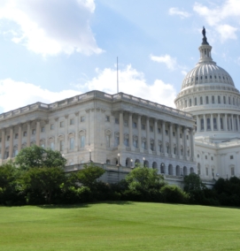 U.S. Capitol Building